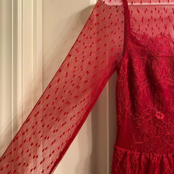 Express Lace Fit & Flare Dress - Picture 4 of 9